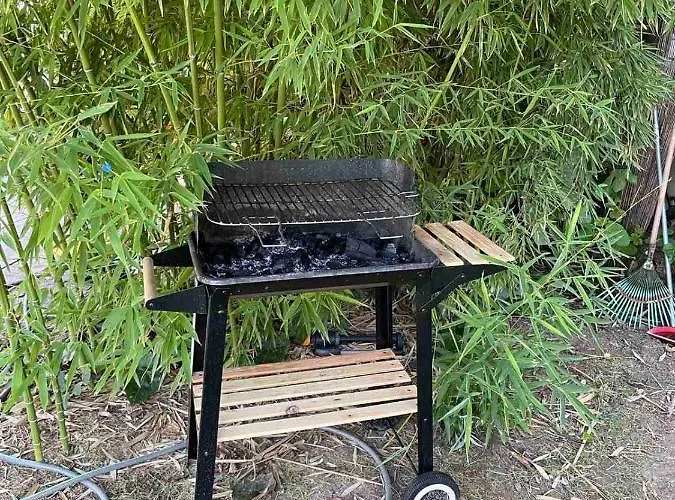 Grey * Nea Michaniona