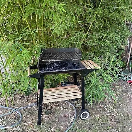 Grey * Néa Mihanióna