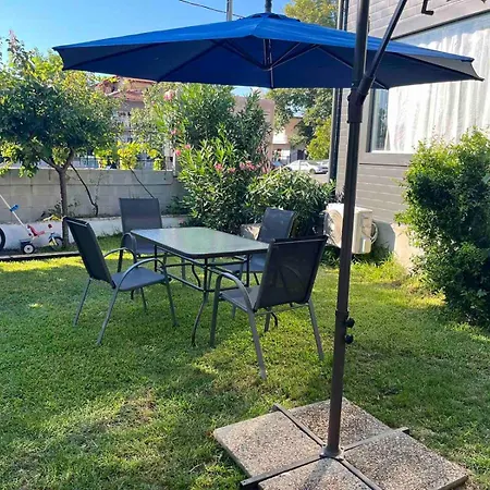 Grey Néa Mihanióna